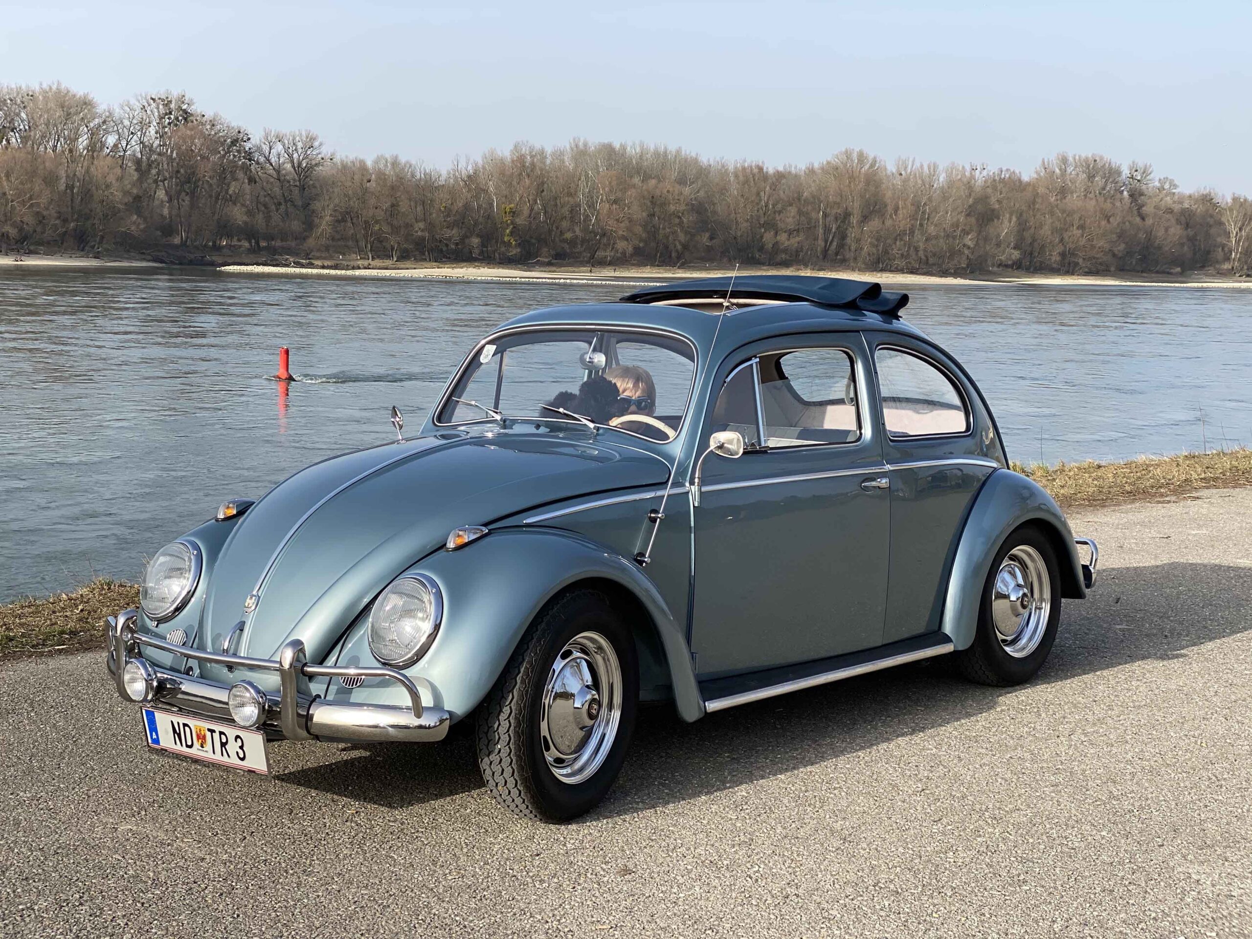 ZYQOTpmAch9S-VW-Kaefer-Reichetzeder