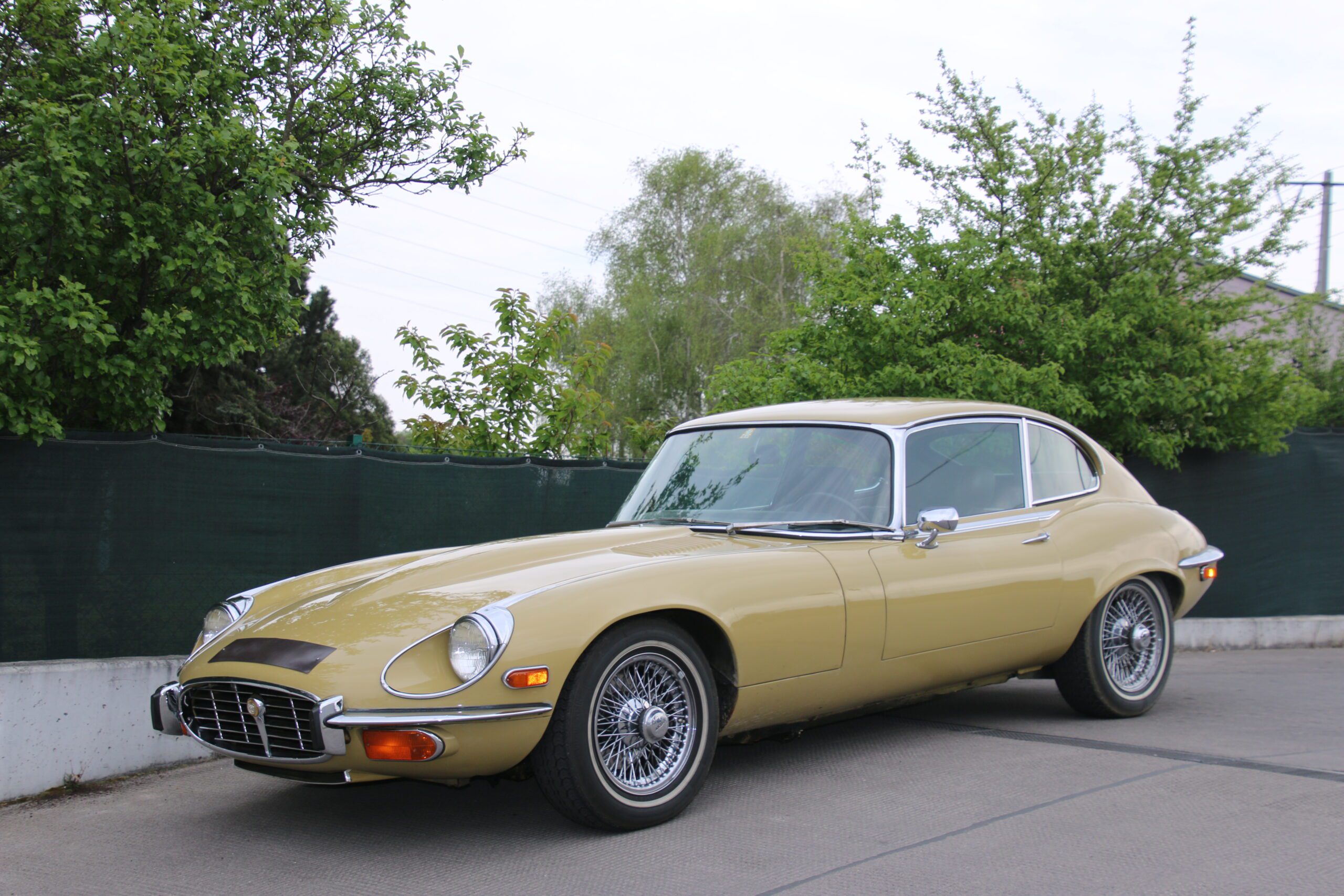 lskAMWkHlI0i-Jaguar-1