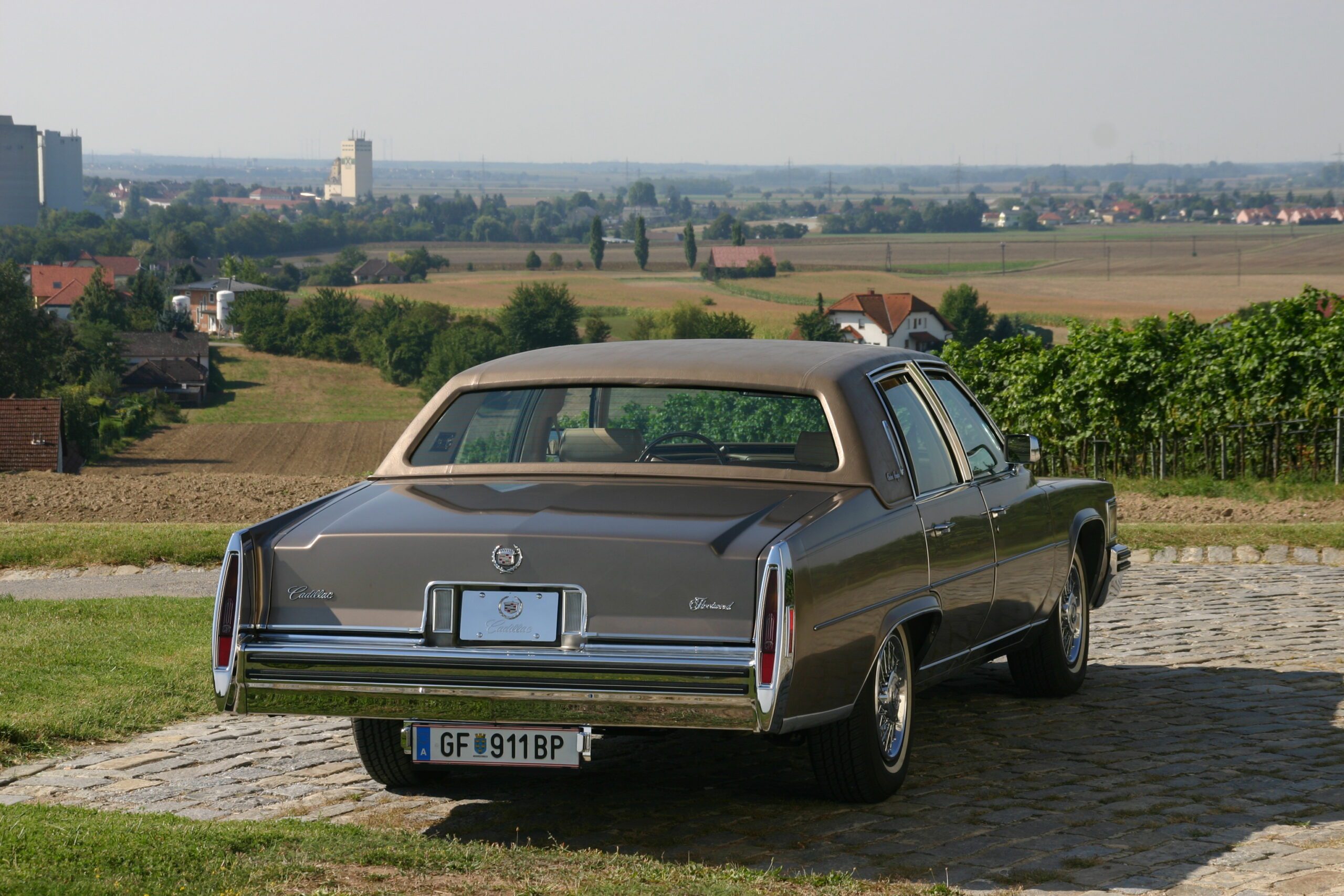 9YucQS664gs8-IMG_3061