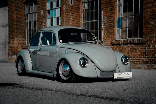 rysr0VAb81nR-IMG_9019